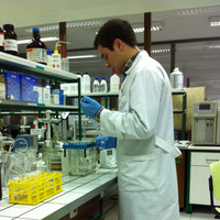 Ângelo Guimarães