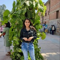 Sheetal Goyal