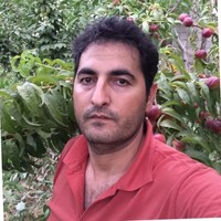 Asghar Seyyedi