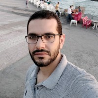 Hesham Zaki