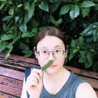 Landy Chen