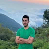 Alireza hamzeh