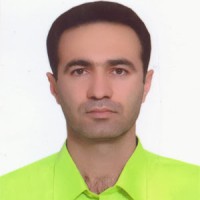 Ali Soltani