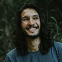 Luiz Henrique Costa Freitas