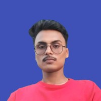 Niraj Kumar Singh