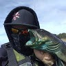 The Fish