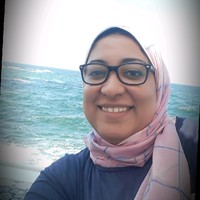 omnia gaber
