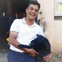 Mandar Pitre