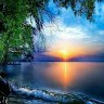 Shanjay B M