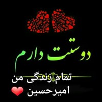 Amir R