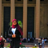 Nour Hady