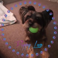M L B