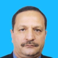 Mohamed A. Ragaei
