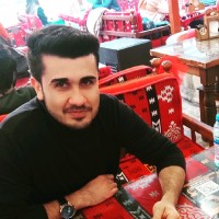 Tekin Bozdayı