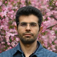 Vahid Amin-Ghafari