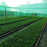 David Briceño Zabaleta