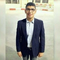 Mostafa Sallam