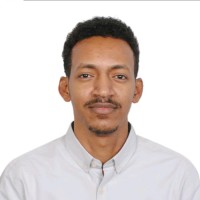 Mohamed Mohi Eldin Salih