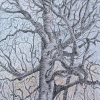 claire buckley