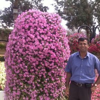 Umesh Pathak