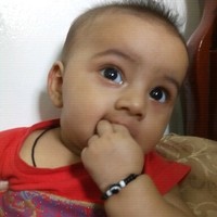 wafa shaikh