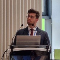 Raul Mihai Radulescu