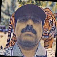 Shabbir Hussain