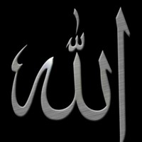 اسامه حميدة