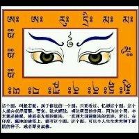 杨伟春