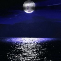 Vicki Burton