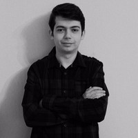 Mircea Negoiță