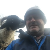 Steve Winder
