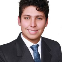 Diego Andres Pulido Gomez