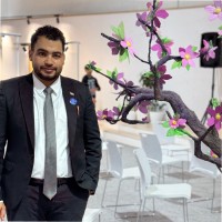 Mohamed Fouad Sharaf