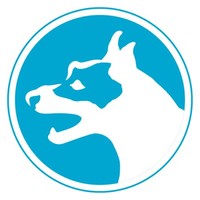 Jack Russell