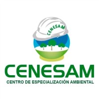 Ica Cenesam Sac
