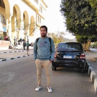 Mohamed Ahmed Eldeeb