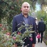 Danesh Lavaei
