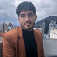 David Mauricio Diaz Robles