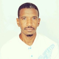 sayed Saeed