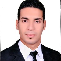 Amr Mohamed Elashmony