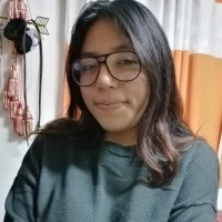Alisson Donayre