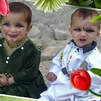Abdul Wali