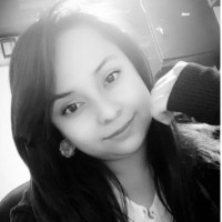 Karen Johanna Ramirez Ricaurte