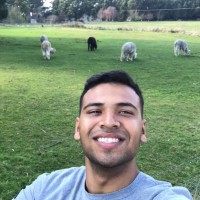 Krimil Patel