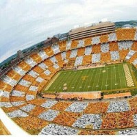 Vol Nation