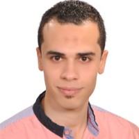 Ahmed Abou Elnasr