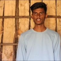 Dhanapal Palanisamy