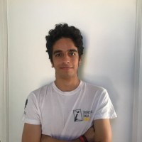 Pelayo Montt