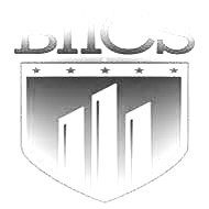 BIICS Inc